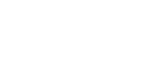 The Savvy Marketing Guy